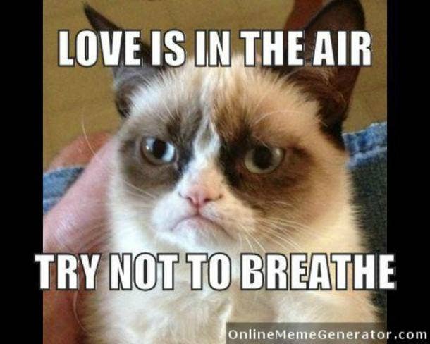 21 Best Grumpy Cat Memes And Funny Quotes About Love And Life Yourtango